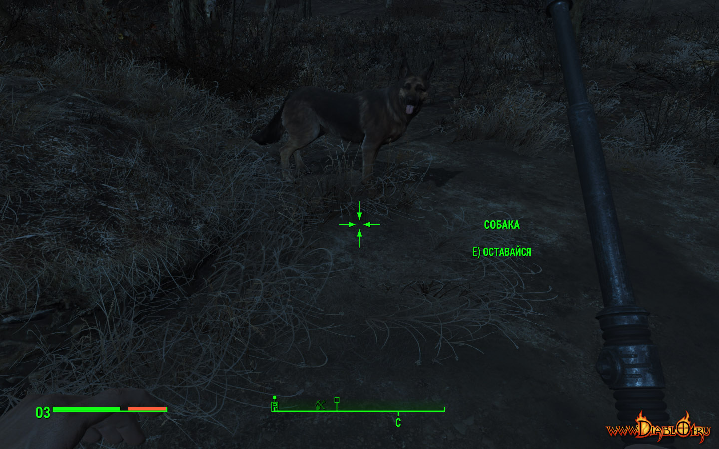 Fallout 4 спутник собака фото 40
