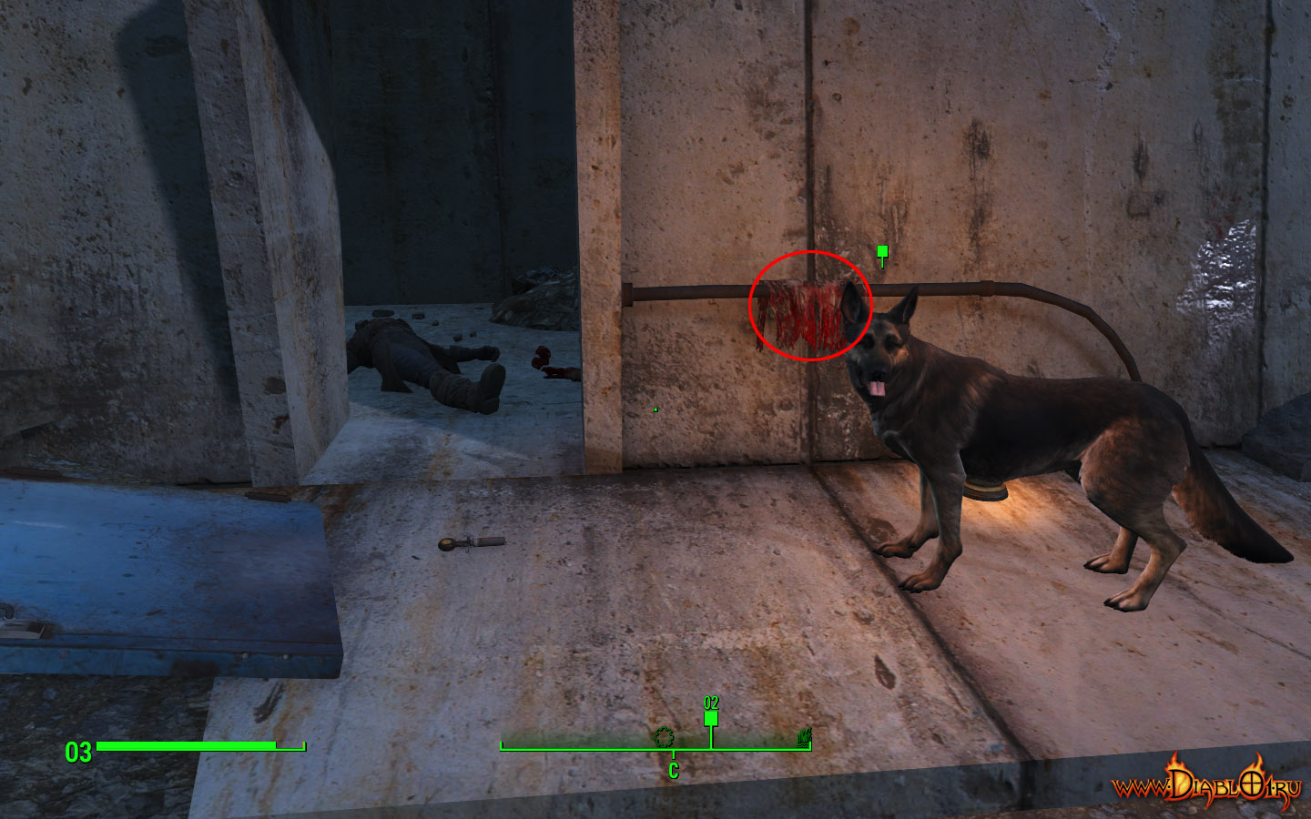 Fallout 4 отпустил собаку где она фото 72